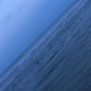 Meet your Posher, Jules